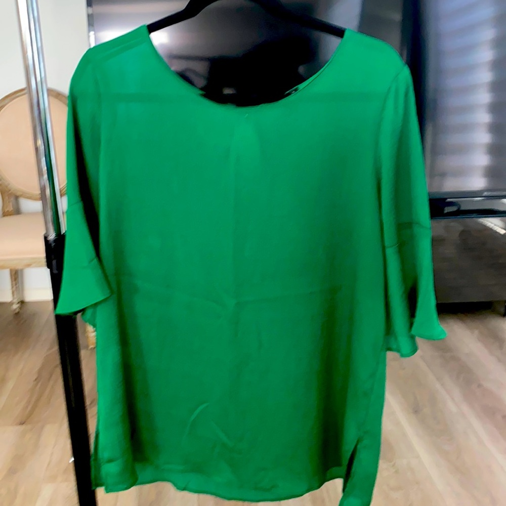 Ann Taylor Emerald Green poly blend L shortsleeved blouse